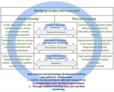 Frontiers | Bridging The Gap Between Remote Sensing And Plant ...